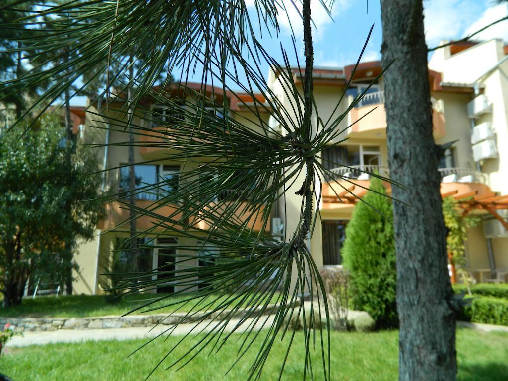 Family Hotel Privileg Sunny Beach Eksteriør billede